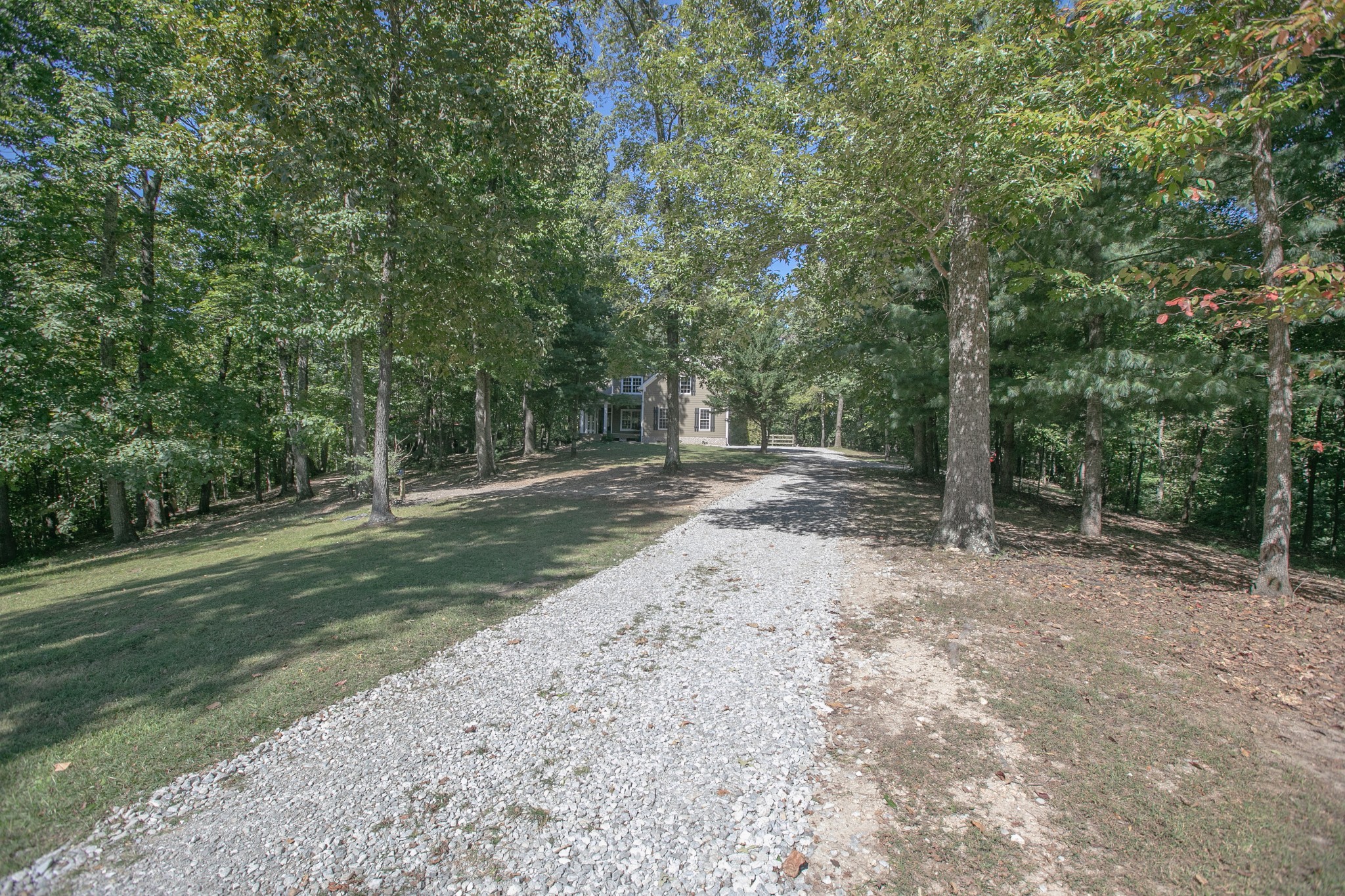 4503 Cole Ridge Road Beechgrove, TN 37018 - Photo 54 of 59 a view of a forest with trees in the background