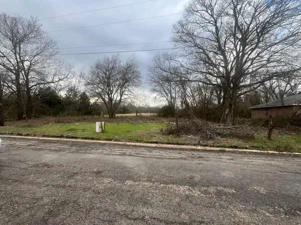 a view of a yard with a large tree