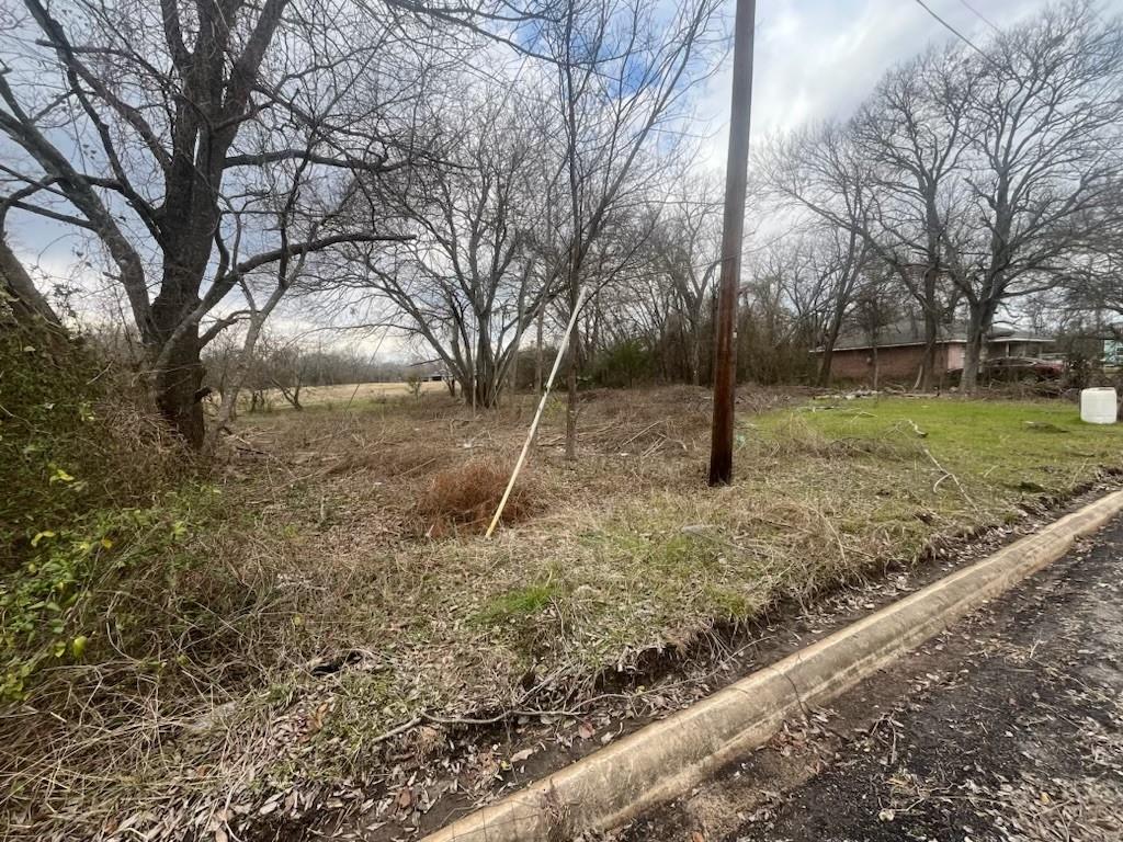 1229 Mosley Street Commerce, TX 75428 - Photo 3 of 4 a backyard of a house with lots of green space