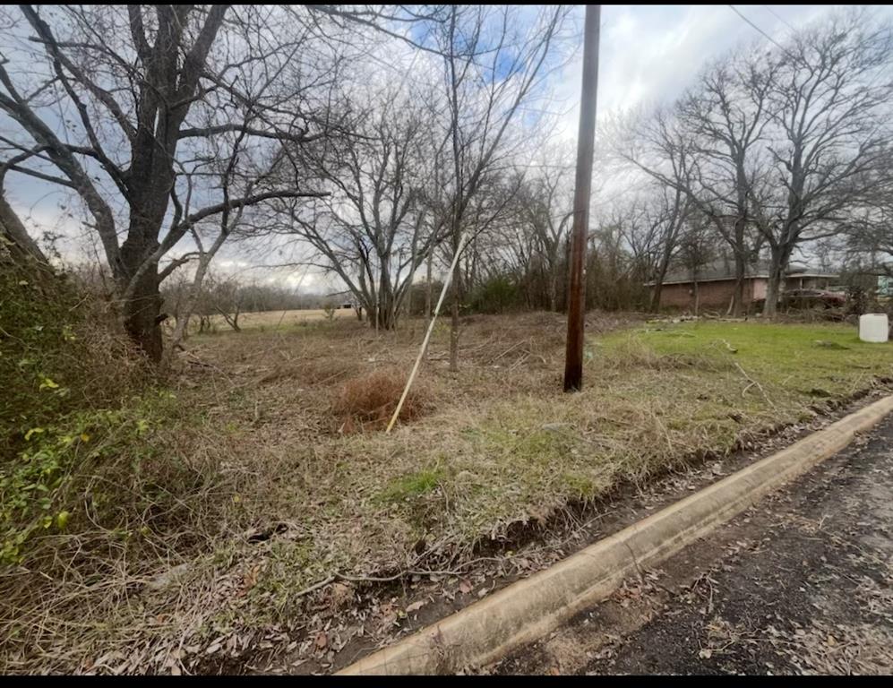 1229 Mosley Street Commerce, TX 75428 - Photo 4 of 4 a backyard of a house with lots of green space