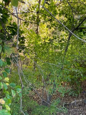 $200,000 | 0 Liberty Lane, West Kingston, RI 02892