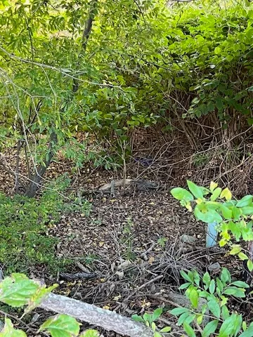 $200,000 | 0 Liberty Lane, West Kingston, RI 02892