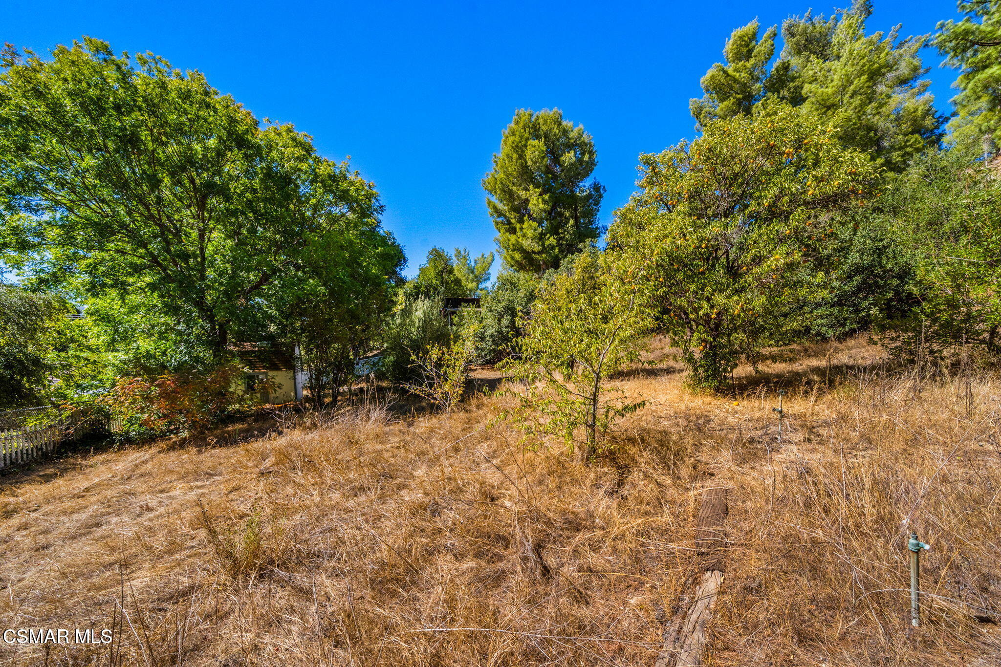 15877 Beaver Run Road Canyon Country, CA 91387 - Photo 54 of 73 58-web-or-mls-DSC09949