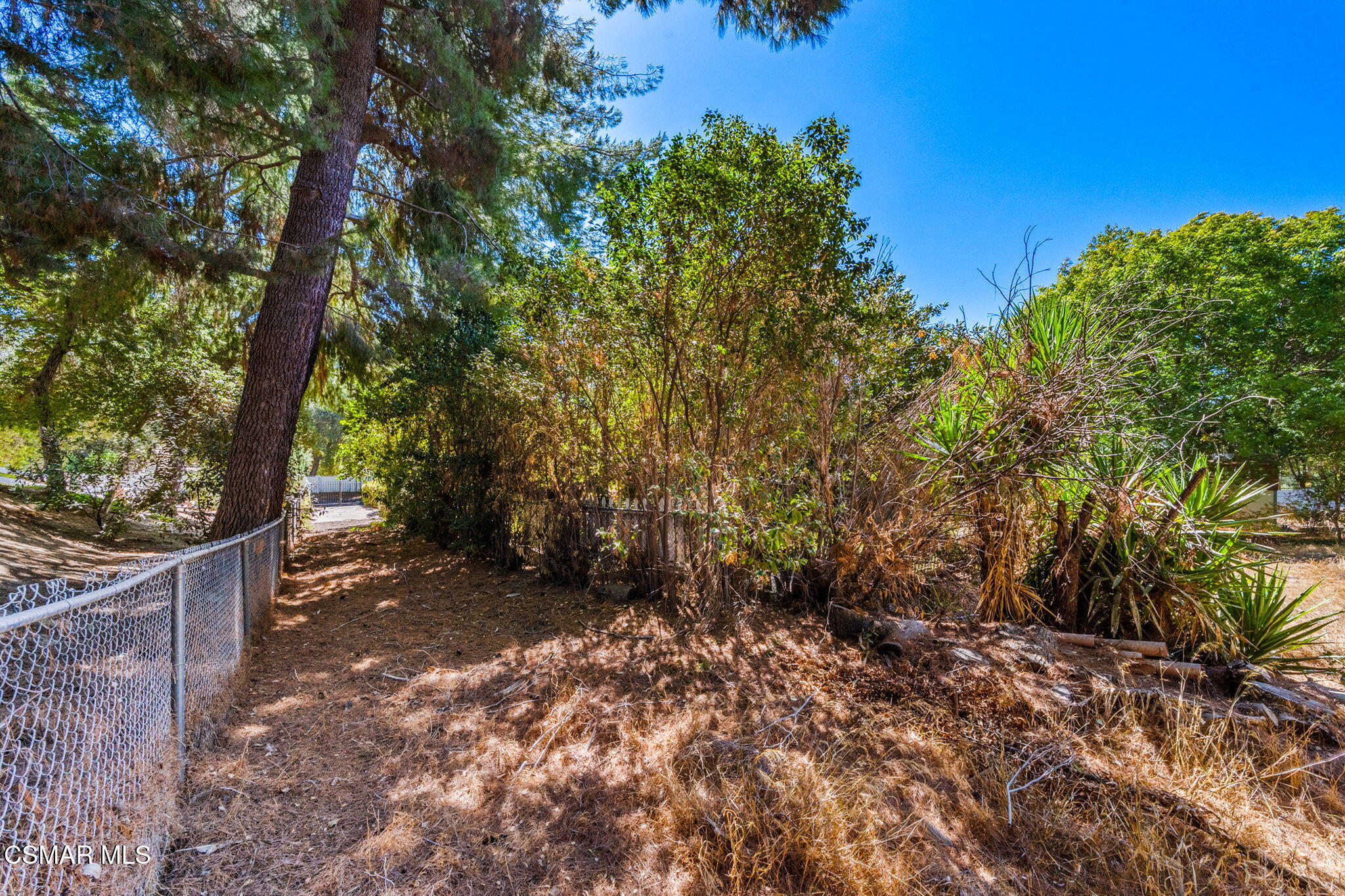 15877 Beaver Run Road Canyon Country, CA 91387 - Photo 56 of 73 60-web-or-mls-DSC09959