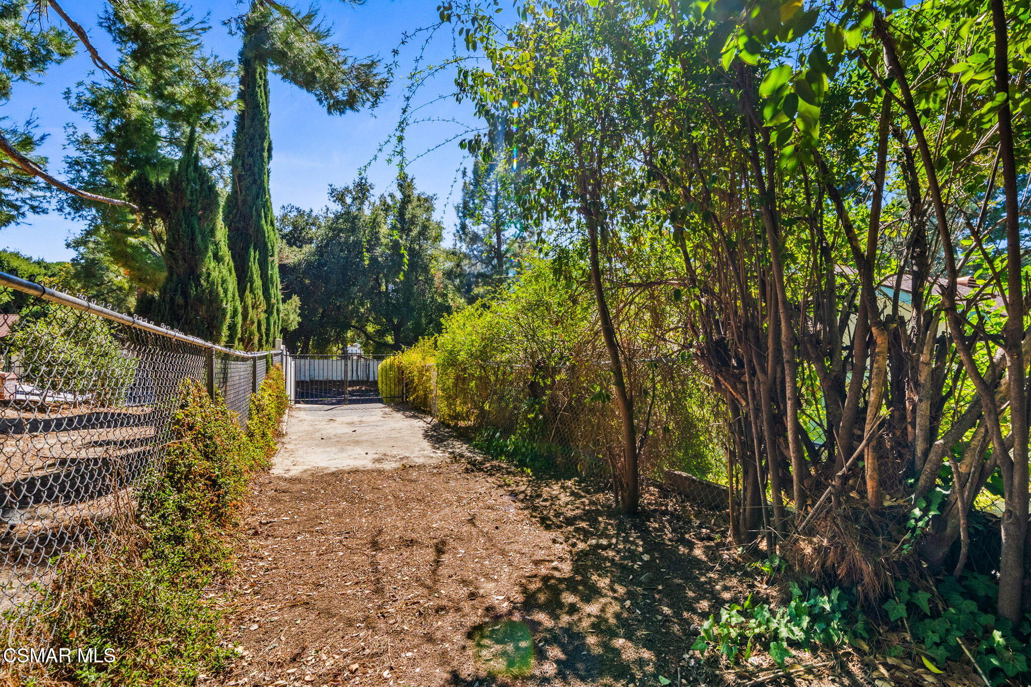 15877 Beaver Run Road Canyon Country, CA 91387 - Photo 57 of 73 61-web-or-mls-DSC09964