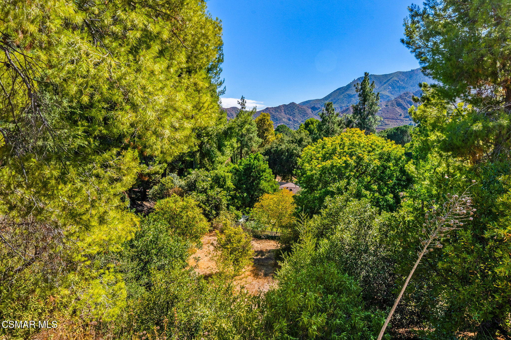 15877 Beaver Run Road Canyon Country, CA 91387 - Photo 64 of 73 68-web-or-mls-DSC09999