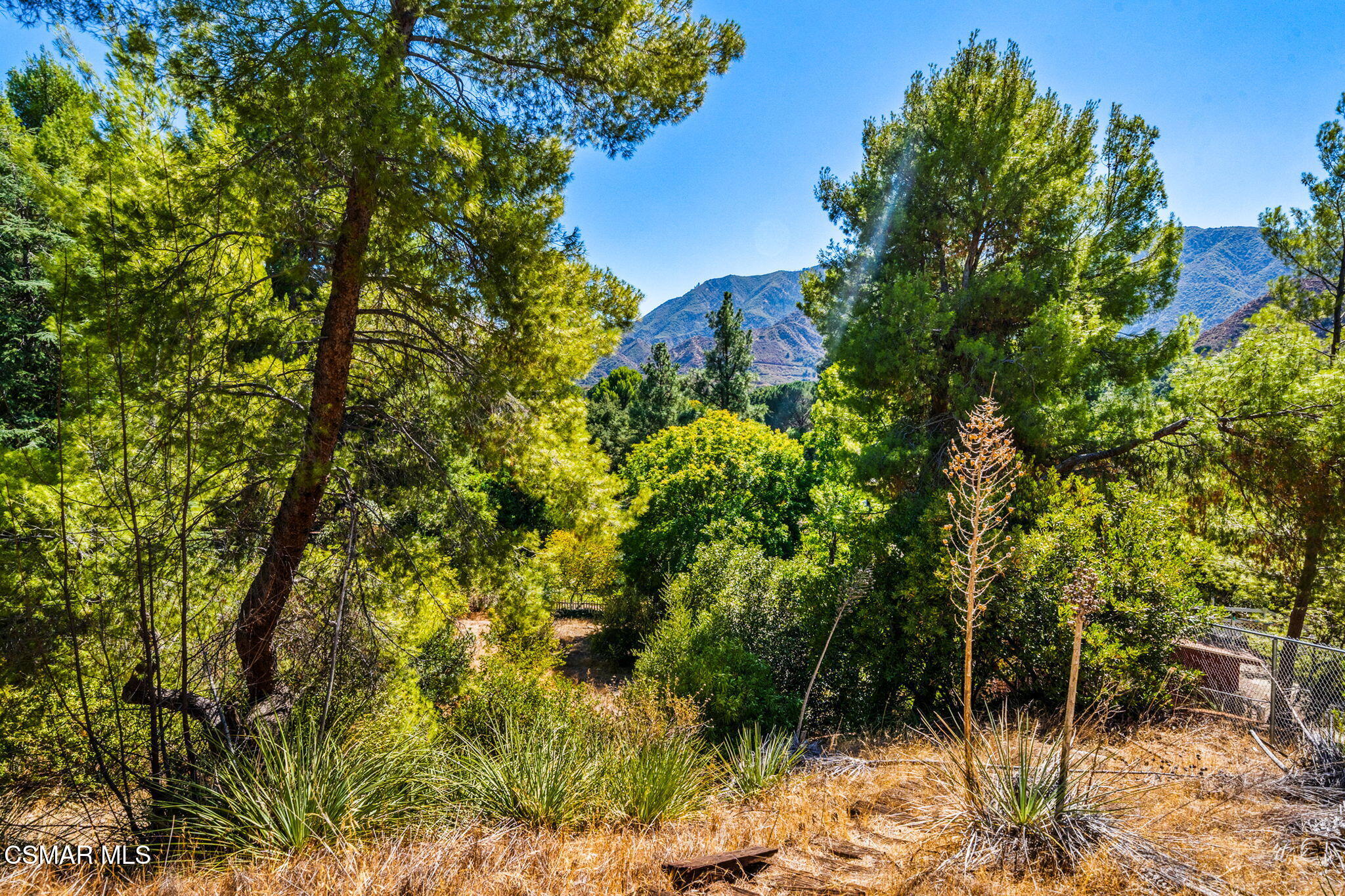 15877 Beaver Run Road Canyon Country, CA 91387 - Photo 65 of 73 69-web-or-mls-DSC00005