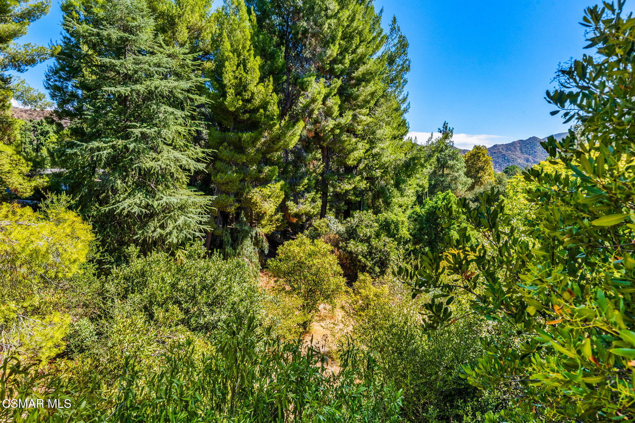 15877 Beaver Run Road Canyon Country, CA 91387 - Photo 67 of 73 71-web-or-mls-DSC00015