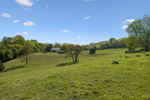 a view of a field with an trees
