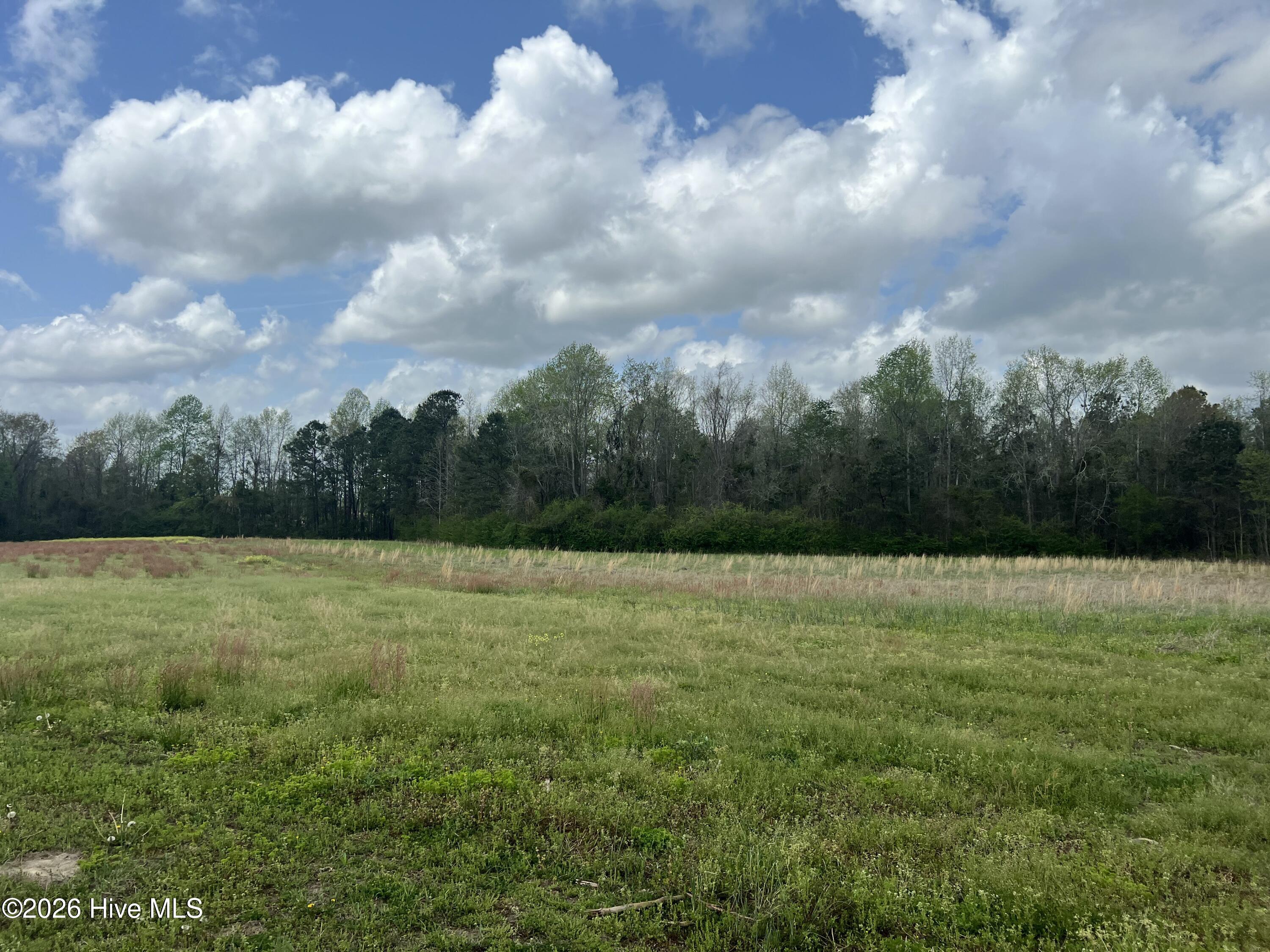 3241 General Howe Road Riegelwood, NC 28456 - Photo 21 of 28 Gallery Image 21
