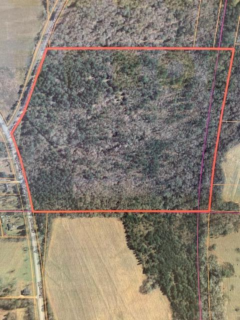 0 Kinsey Road Dothan, AL 36303 - Photo 1 of 1