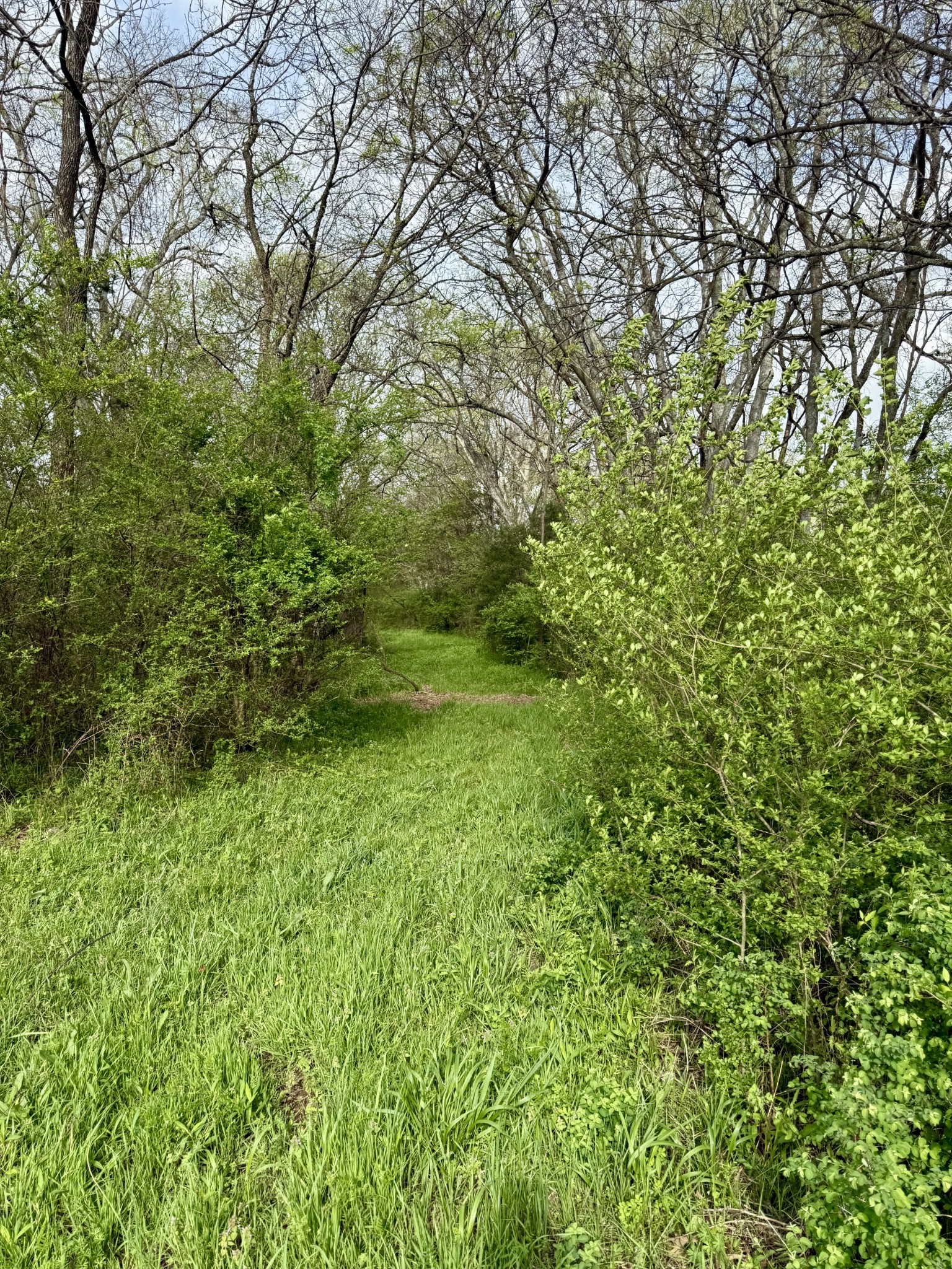 2483 Taylor Lane Eagleville, TN 37060 - Photo 4 of 6