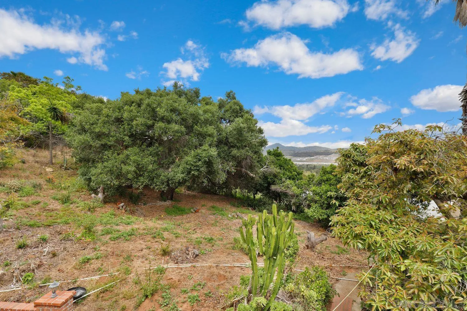 3944 Pala Mesa Drive Fallbrook, CA 92028 - Photo 35 of 39 a view of a yard