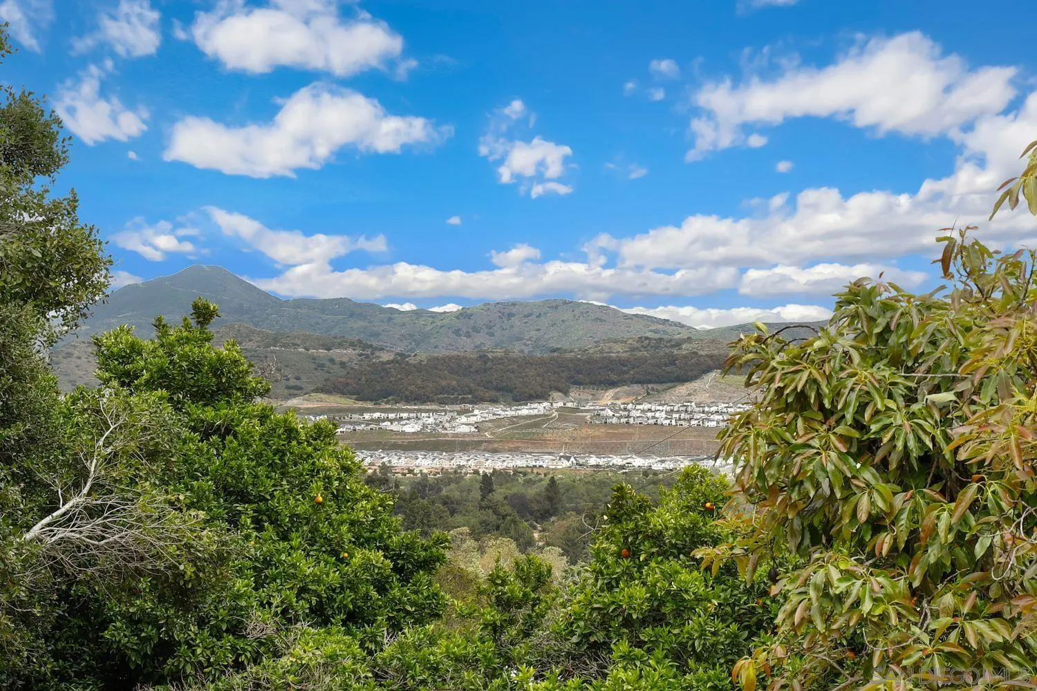 3944 Pala Mesa Drive Fallbrook, CA 92028 - Photo 36 of 39 a view of a lake with a yard