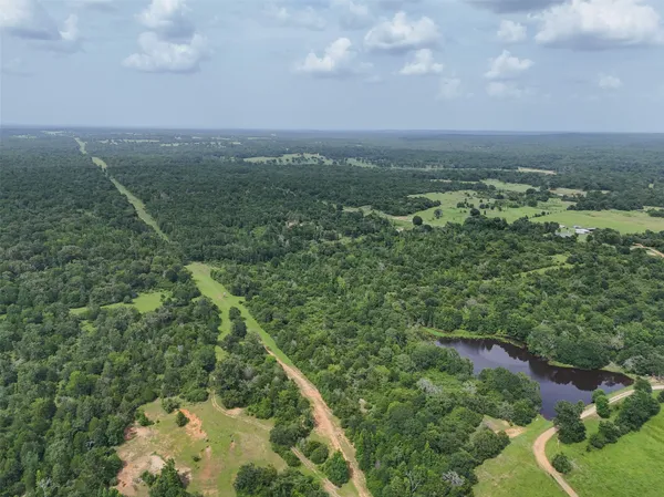 a view of a field with an ocean and trees
