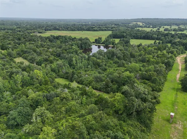 an aerial view of green landscape with trees houses and lake view