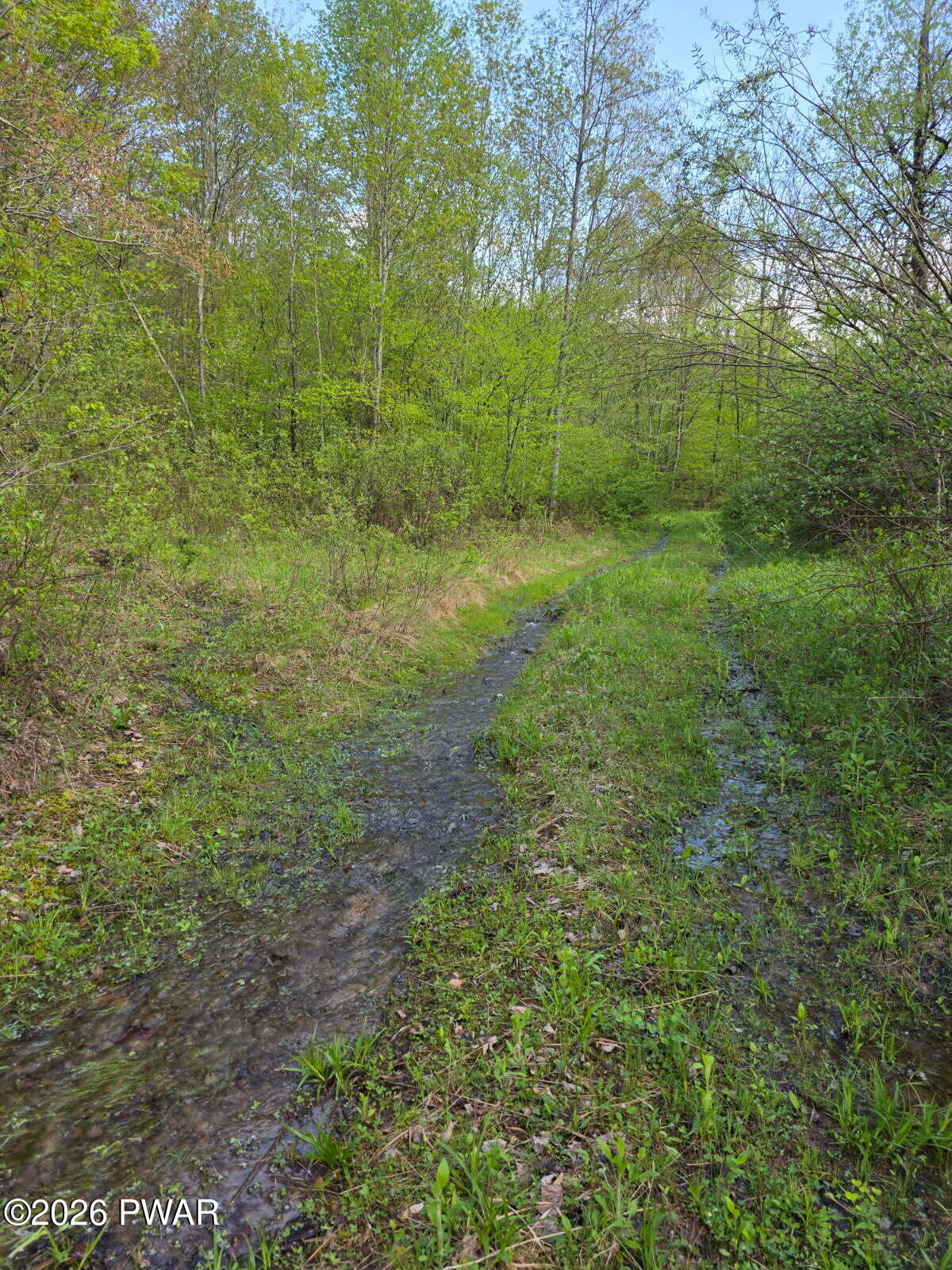33 Bucks Road Susquehanna, PA 18847 - Photo 9 of 18