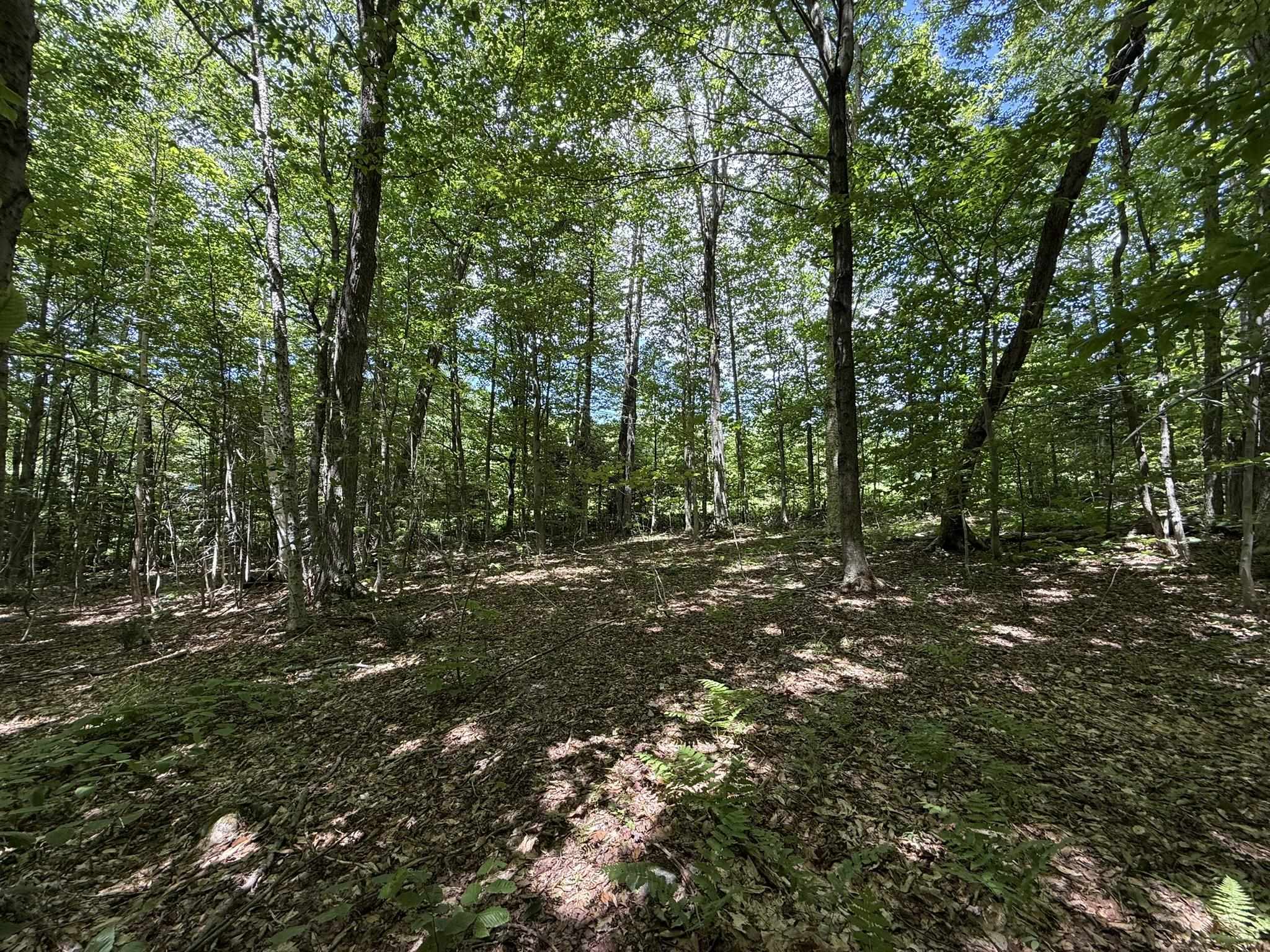 0 Forest Heights Road West Dover, VT 05356 - Photo 10 of 12
