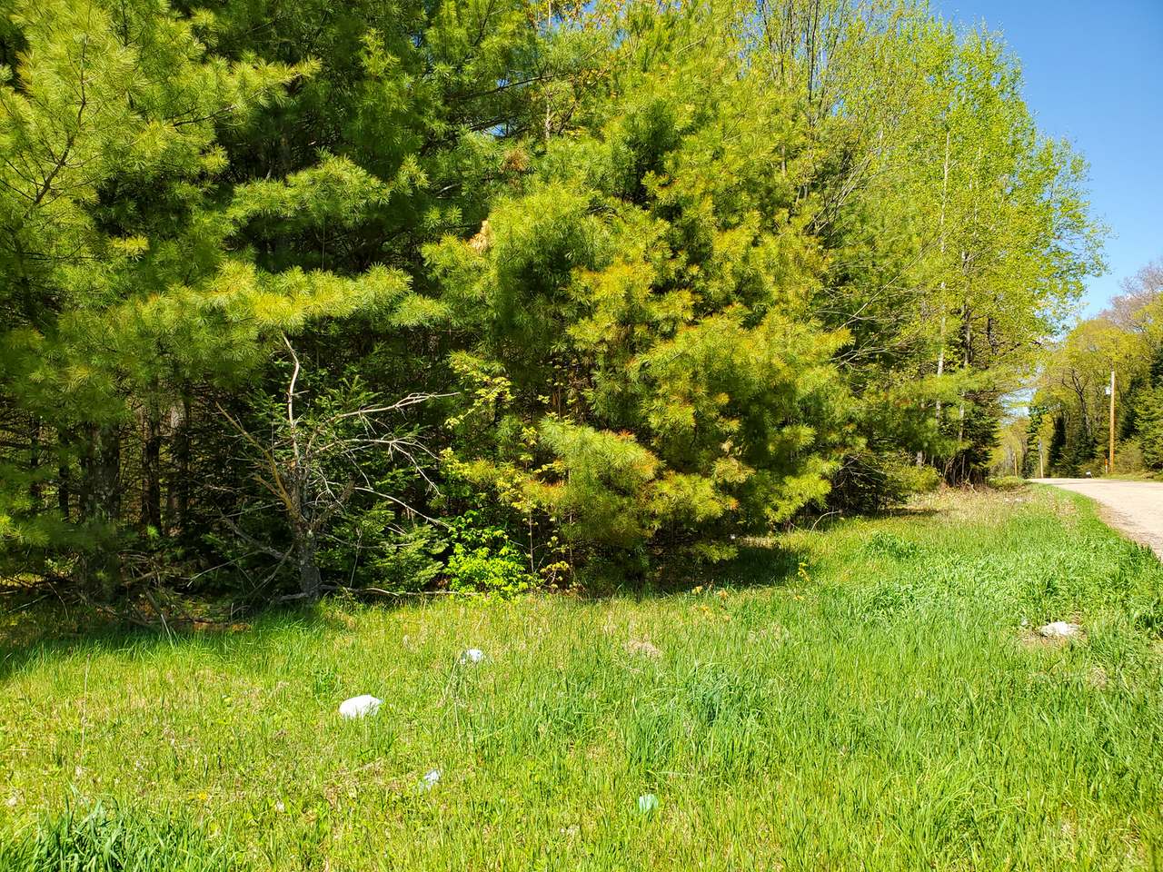 0 Cth T Pearson, WI 54462 - Photo 1 of 4 Gallery Image 1