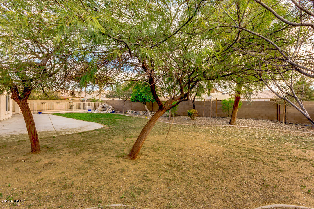 11033 West Granada Road Avondale, AZ 85392 - Photo 35 of 38 38-Granada