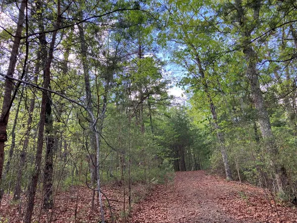 $39,997 | Lt24 Mission Ridge Drive, Hayesville, NC 28904