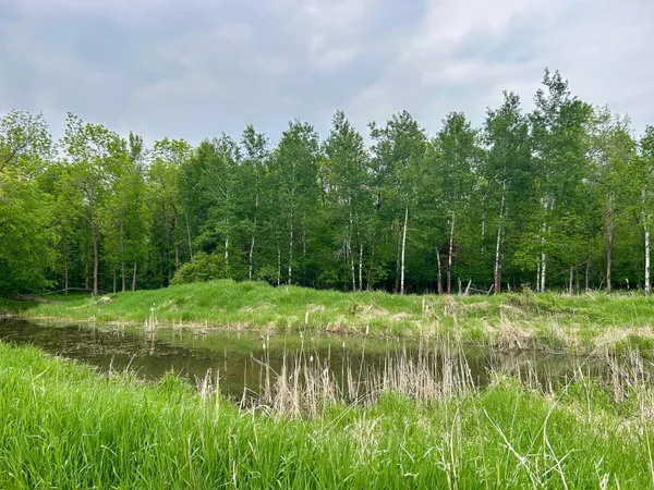 $395,000 | 10696 Leaf River Road, Wadena, MN 56482