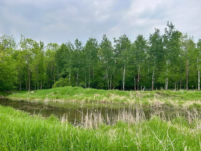 $395,000 | 10696 Leaf River Road, Wadena, MN 56482