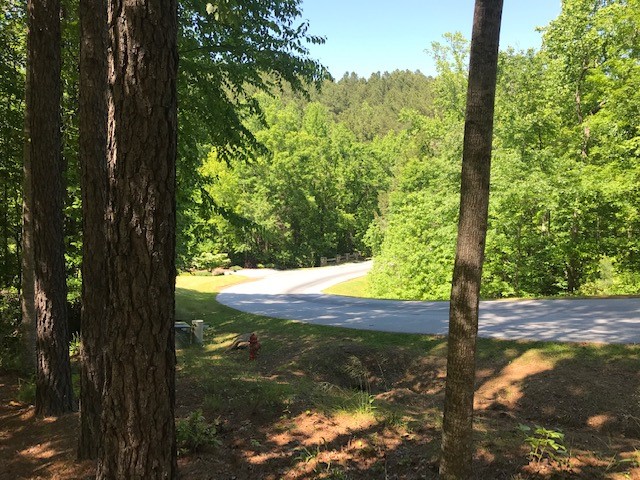 608 Top Ridge Drive Sunset, SC 29685 - Photo 2 of 11