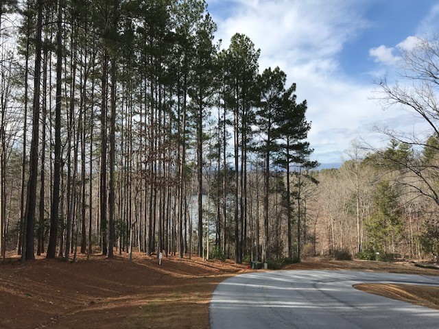 608 Top Ridge Drive Sunset, SC 29685 - Photo 10 of 11