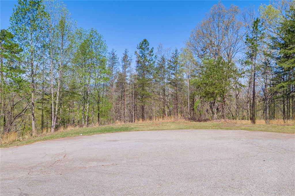 0 Eagle Ridge Trail Cleveland, GA 30528 - Photo 15 of 28