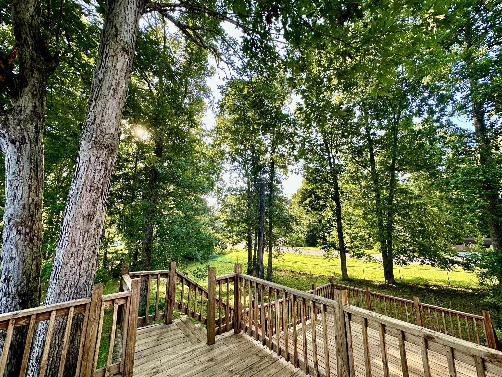 3311 Backridge Road Woodlawn, TN 37191 - Photo 20 of 22 Gallery Image 20