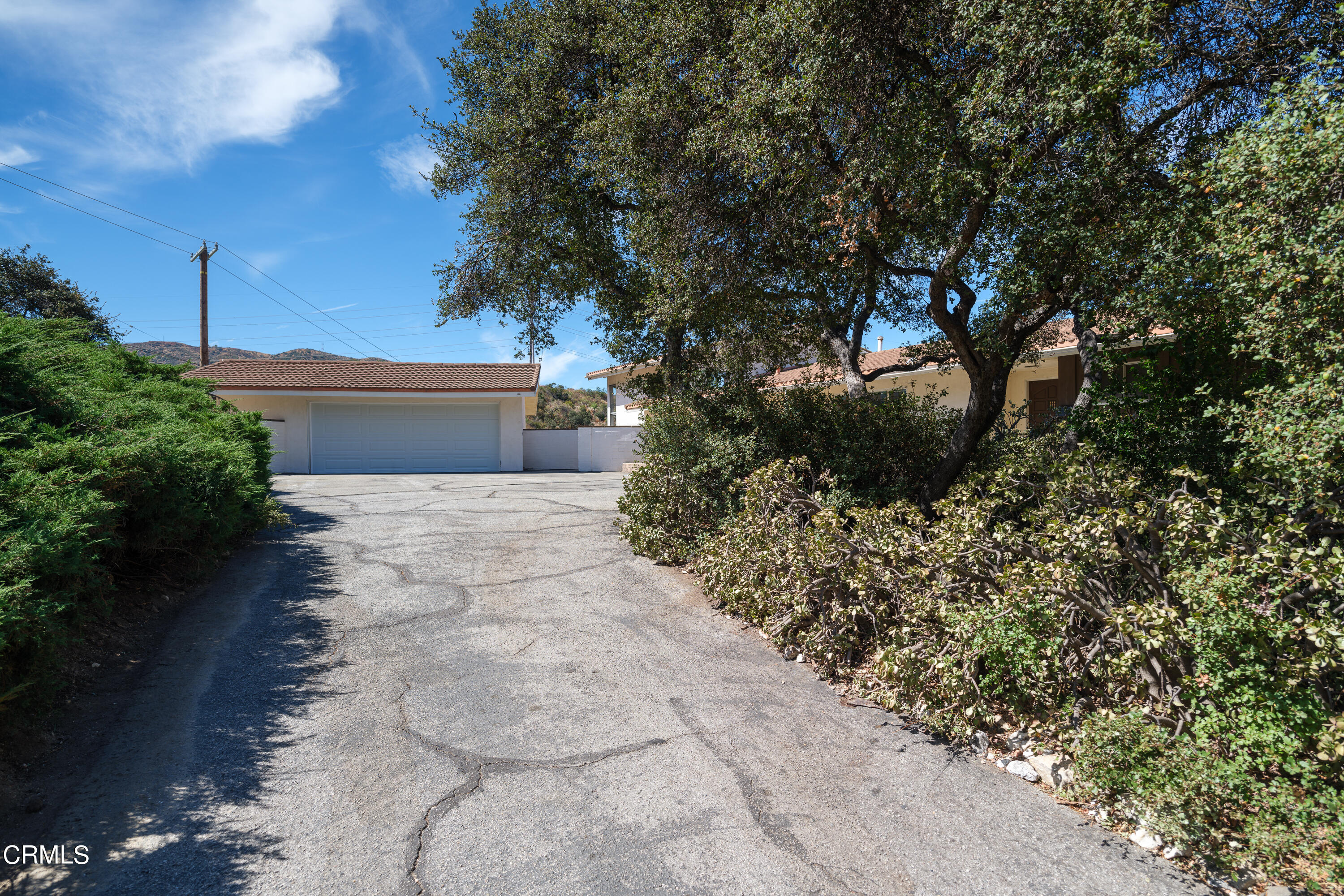 7162 Estepa Drive Tujunga, CA 91042 - Photo 4 of 43 a view of a yard with plants and trees