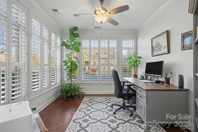 a workspace with furniture and a potted plant