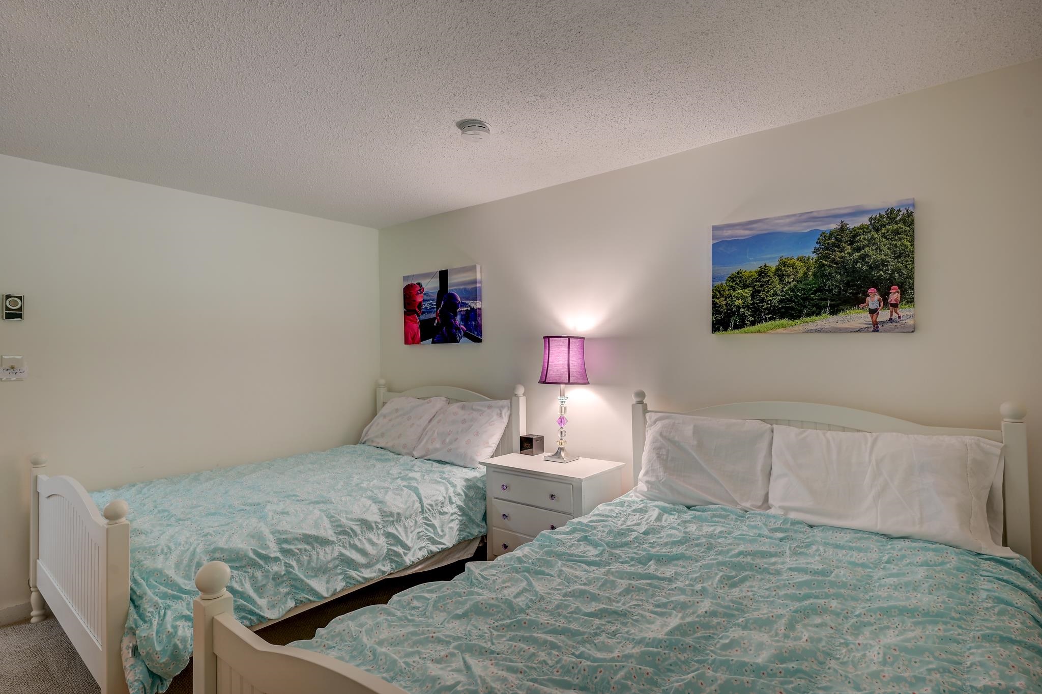6 Woodland Pines Road Intervale, NH 03845 - Photo 27 of 36 Gallery Image 27