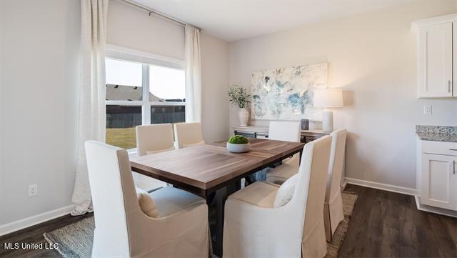 2404 Hyacinth Lane Hernando, MS 38632 - Photo 9 of 18 10178416-DD9D9E54-0CDE-40A1-B2C3-FD531D5