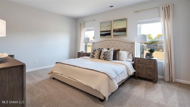 2404 Hyacinth Lane Hernando, MS 38632 - Photo 10 of 18 10178416-C3E14C4C-72BF-403D-95AC-B1DED47