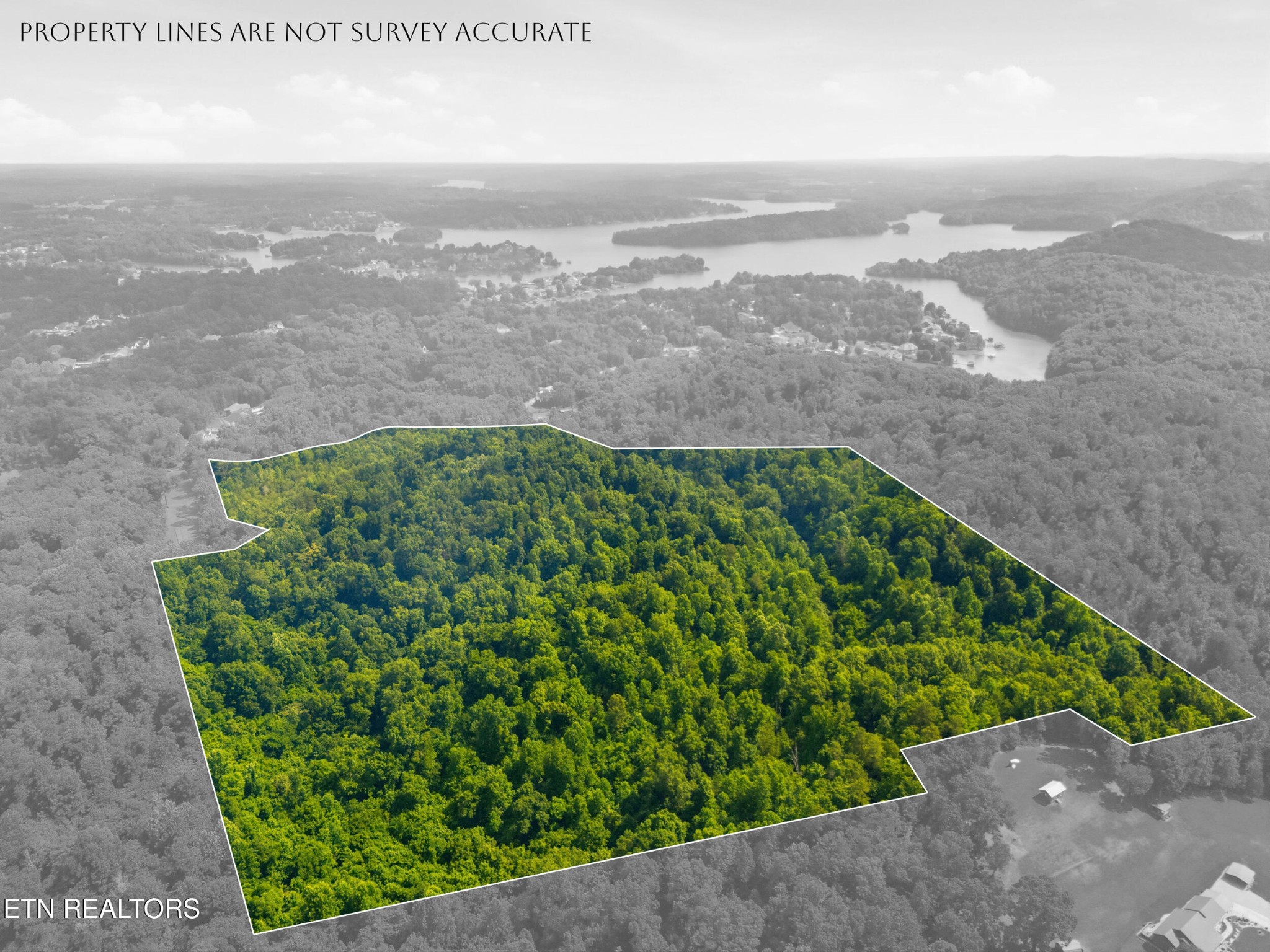 0 Mayo Road Loudon, TN 37774 - Photo 9 of 13