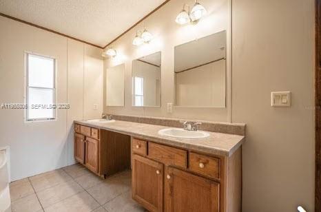 1604 Pineford Road Lakeland, FL 33809 - Photo 16 of 28 a bathroom with a sink and a mirror