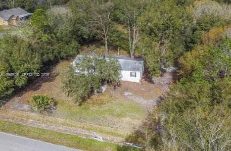 1604 Pineford Road Lakeland, FL 33809 - Photo 27 of 28 a view of a yard with plants and large trees