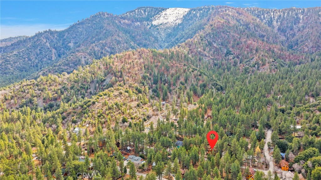 985 Pheasant Road Wrightwood, CA 92397 - Photo 49 of 54