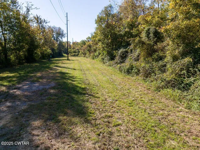 a view of a field with trees