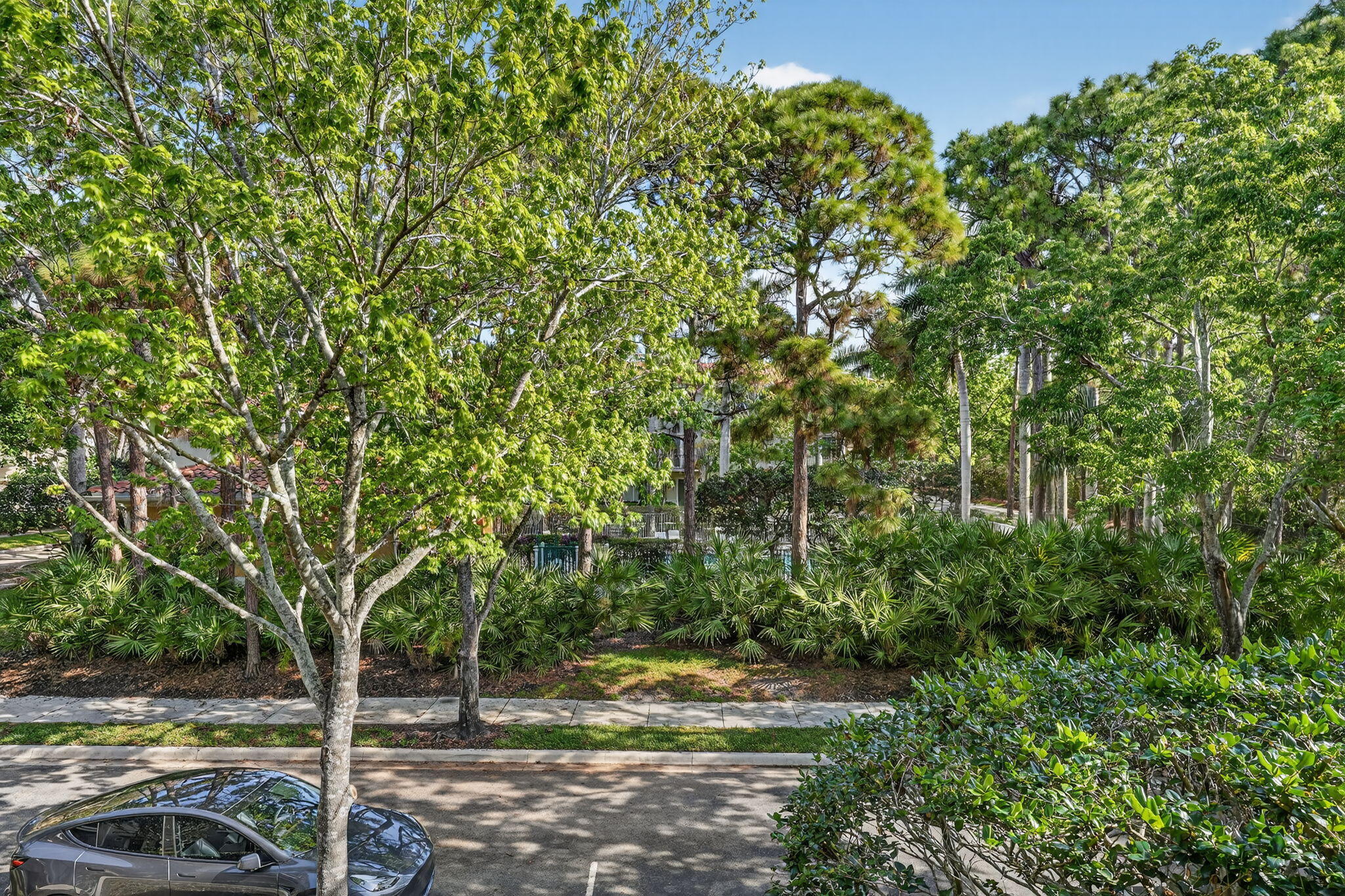 108 Morning Dew Circle Jupiter, FL 33458 - Photo 19 of 46 a view of a yard with plants