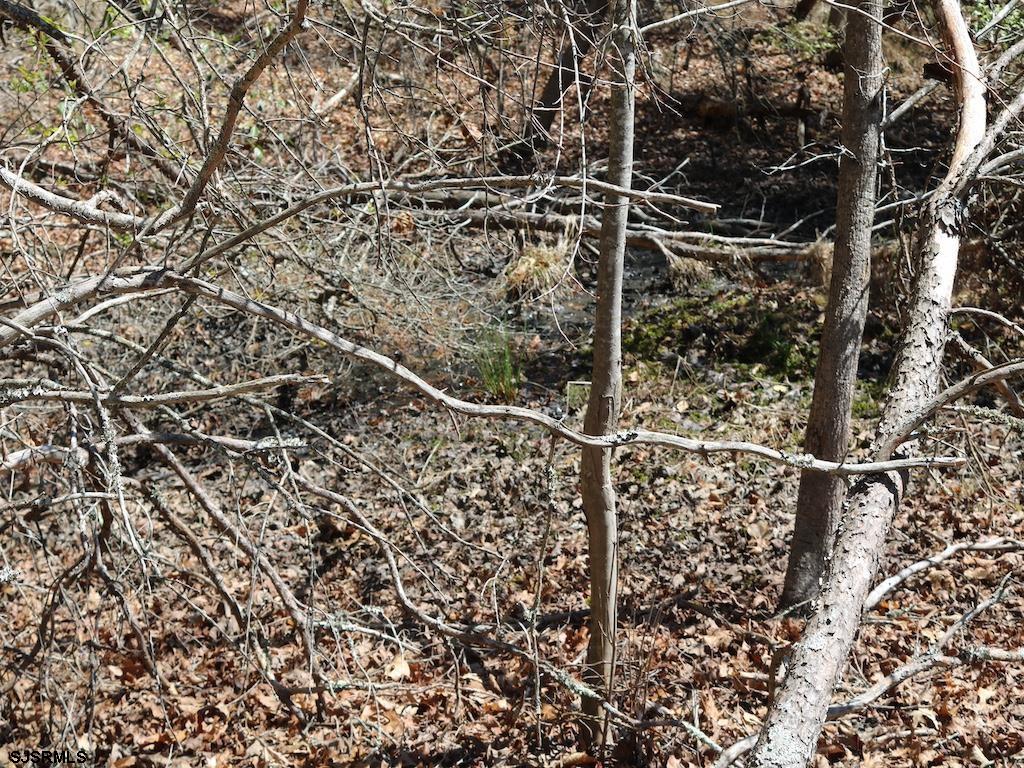 351 Shaws Mill Road Newport, NJ 08345 - Photo 53 of 84