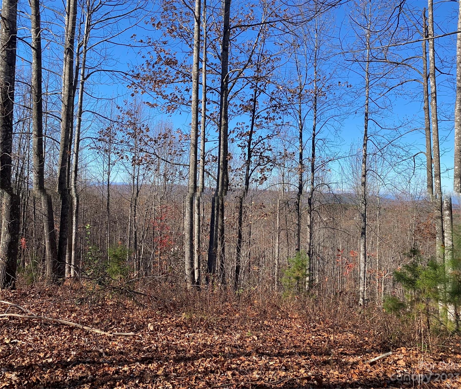 Tbd Meditation Rdg Dr Extension, Unit 43 Nebo, NC 28761 - Photo 2 of 15