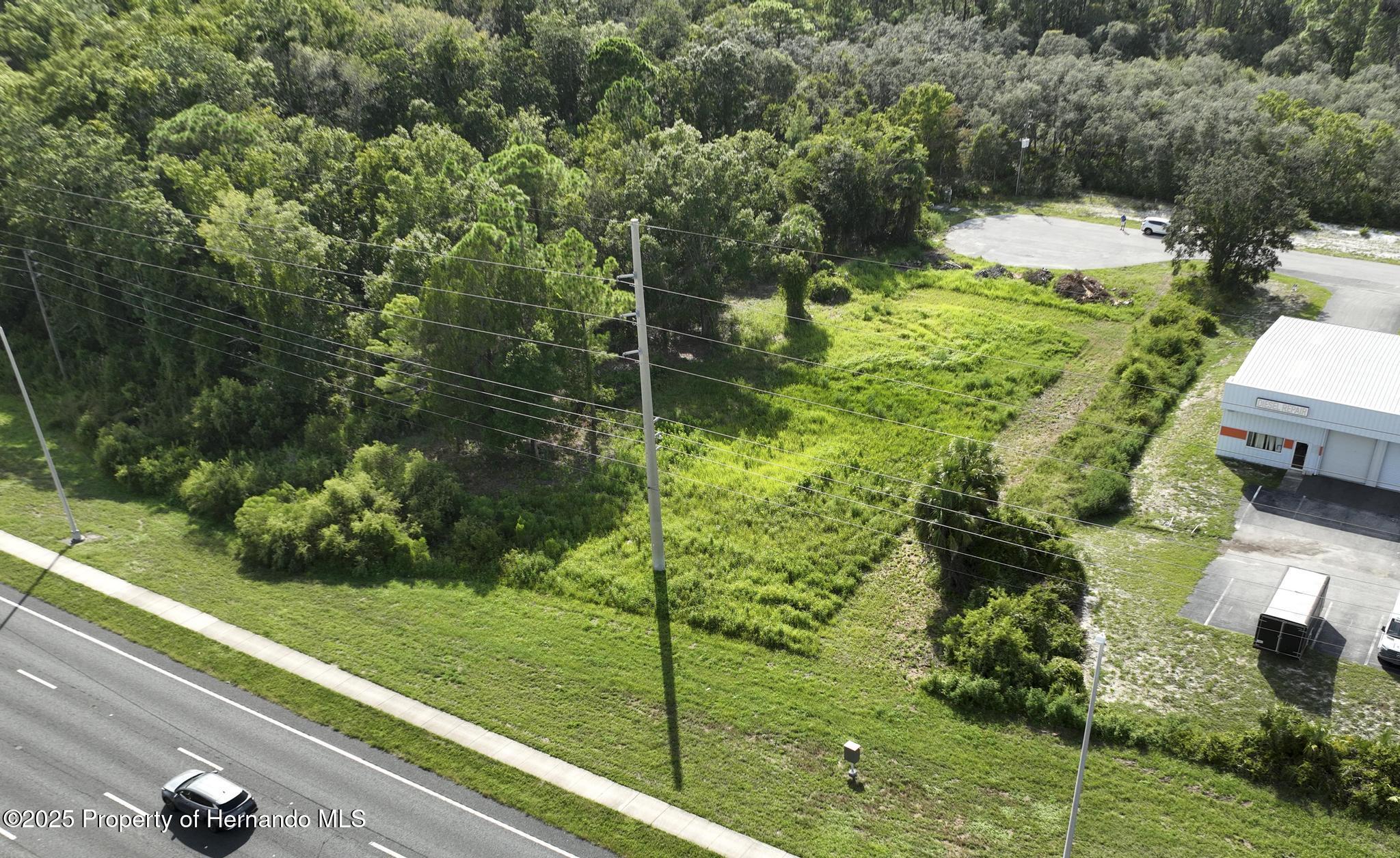 290 Suzanne Drive Spring Hill, FL 34607 - Photo 6 of 15