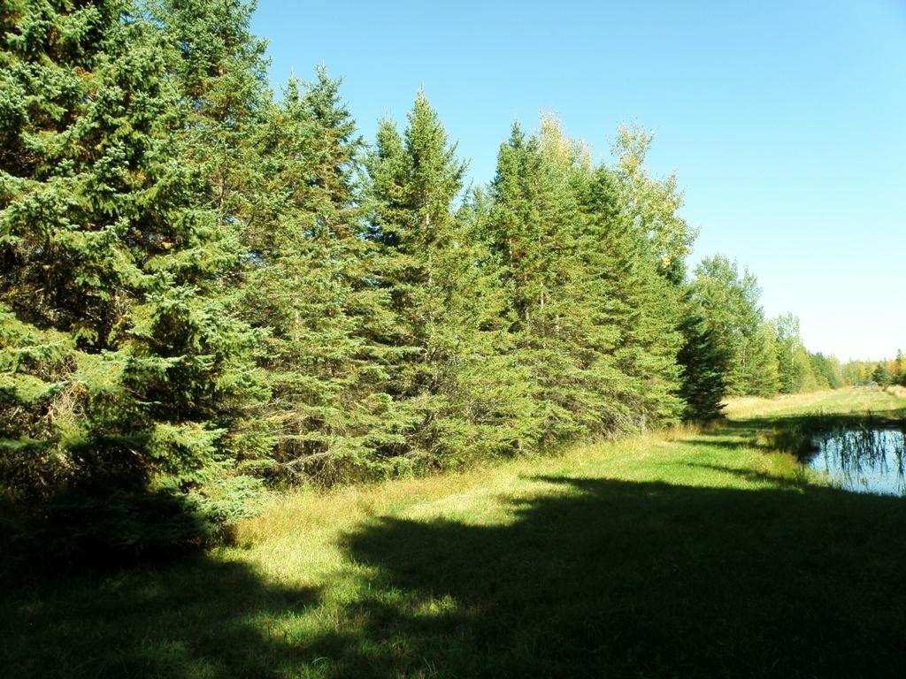 38888 West Maple Ridge Road Hulbert, MI 49748 - Photo 19 of 27 Gallery Image 19