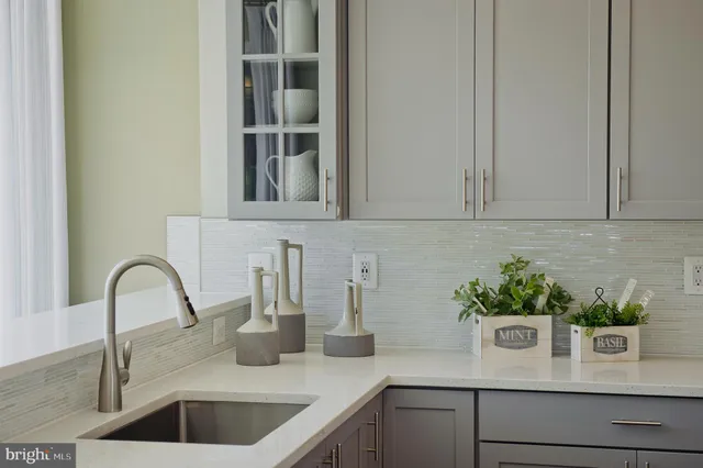 a kitchen with a sink and potted plant