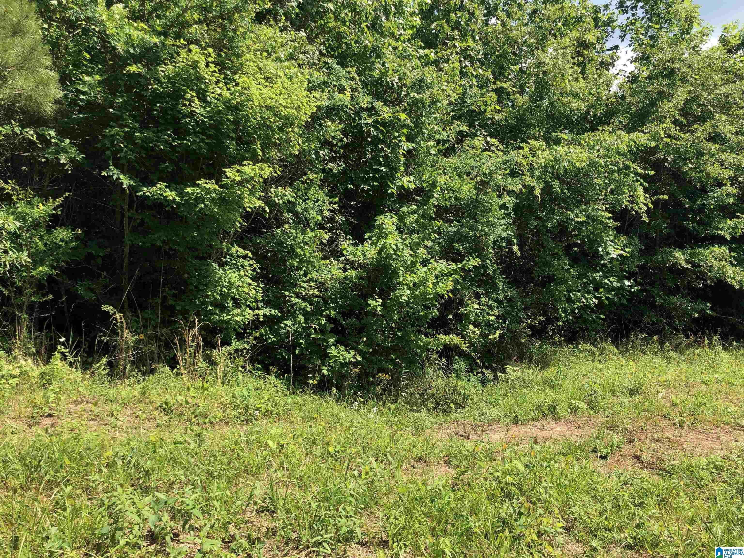 0 Peeks Hill Road, Unit 7 Ohatchee, AL 36271 - Photo 5 of 8