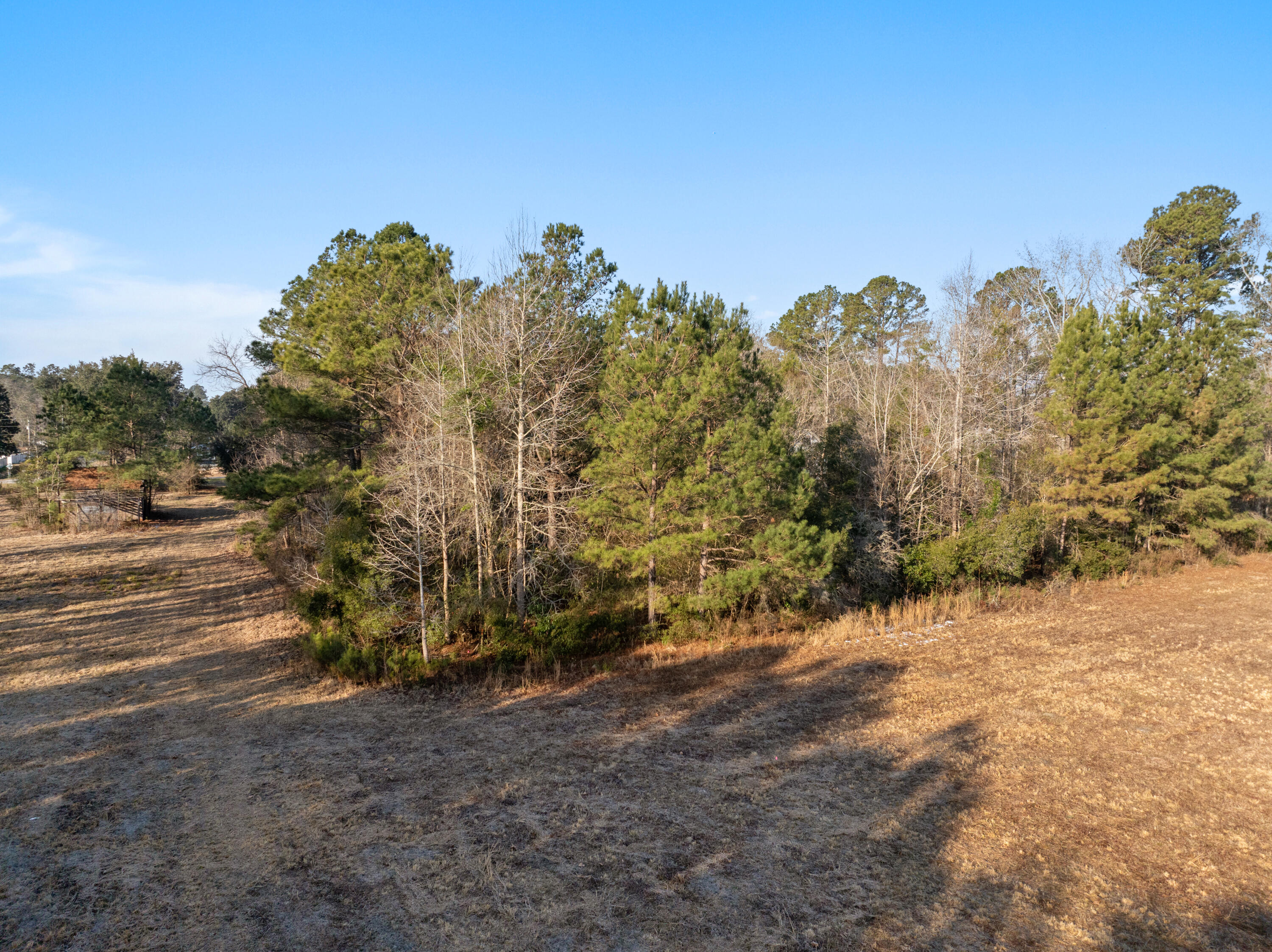 14048 Round O Road Cottageville, SC 29435 - Photo 13 of 15 14048RoundO.NicoleBurbgePhoto-11