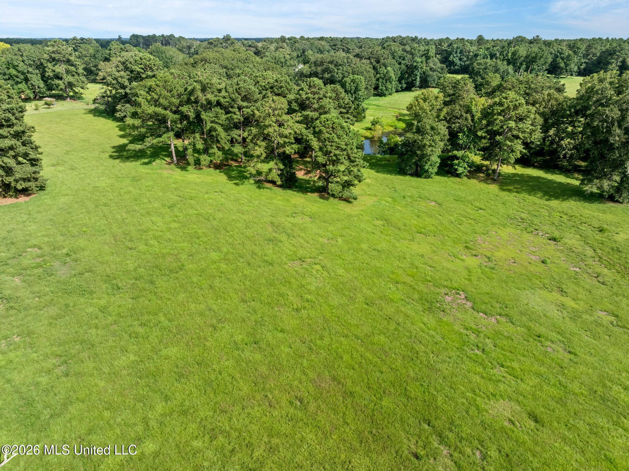 2111 Old Brookhaven Road Summit, MS 39666 - Photo 98 of 102 2111_Old_Brookhaven_Rd-124